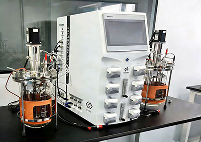 南宫28实验室双联发酵罐Twin220